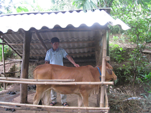 Từ hiệu quả ban đầu của dự án, Hội Nông dân huyện Yên Thuỷ tiếp tục triển khai nhân rộng mô hình nhằm giúp đỡ các hộ hội viên nông dân khó khăn.